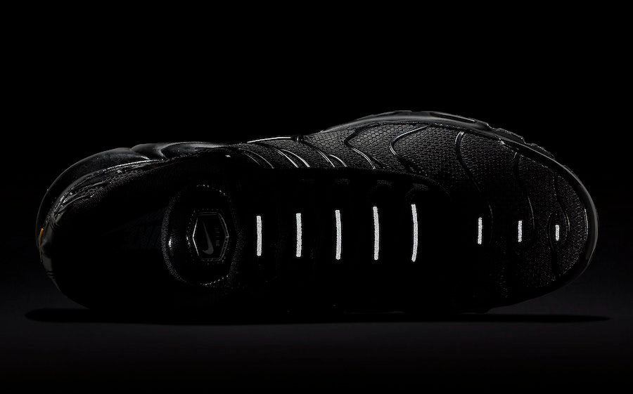 NIKE AIR MAX PLUS x TRIPLE BLACK
