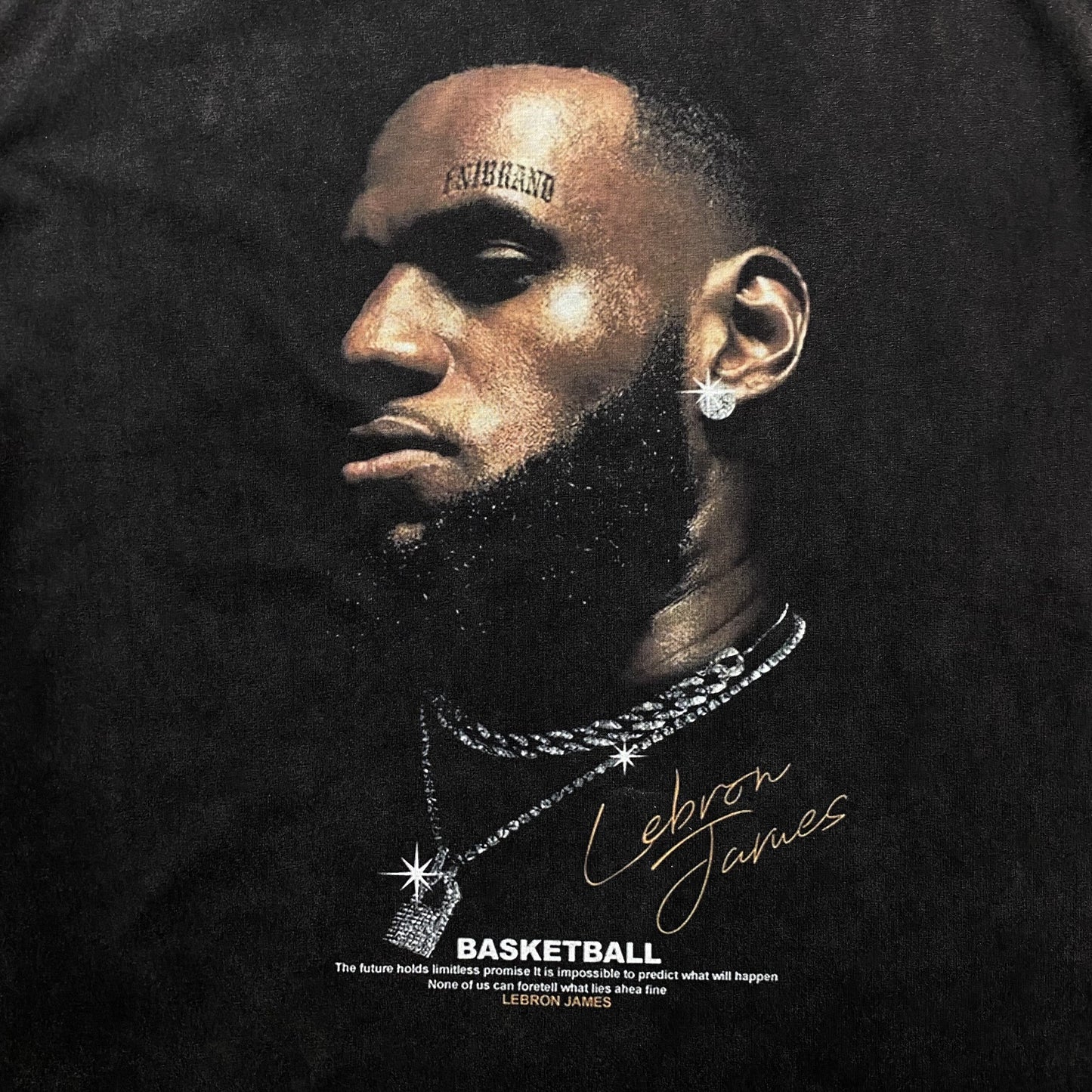 LEBRON JAMES VINTAGE GRAPHIC TEE DARK GREY