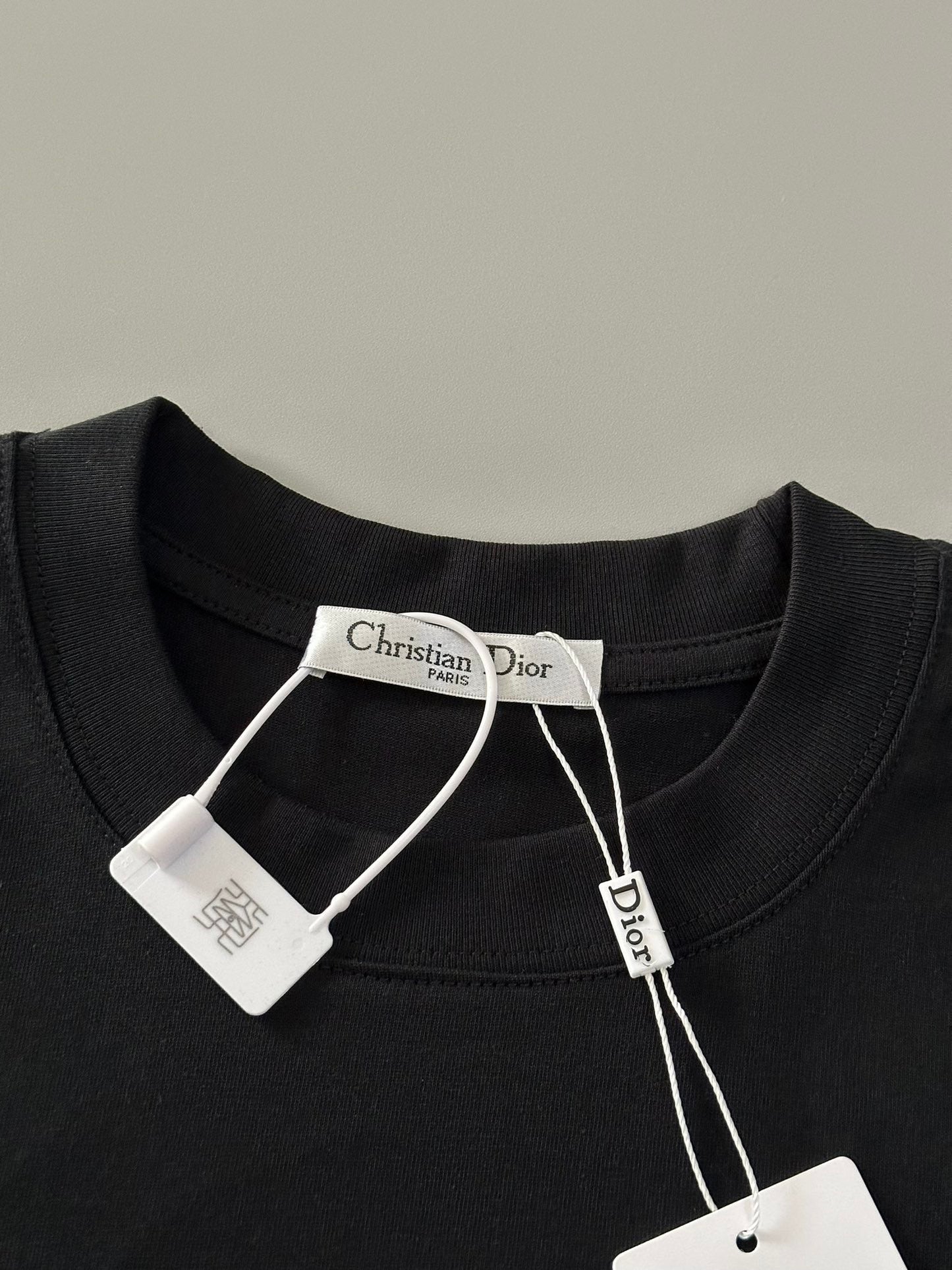 Dior Oblique Embroidered Polo Shirt