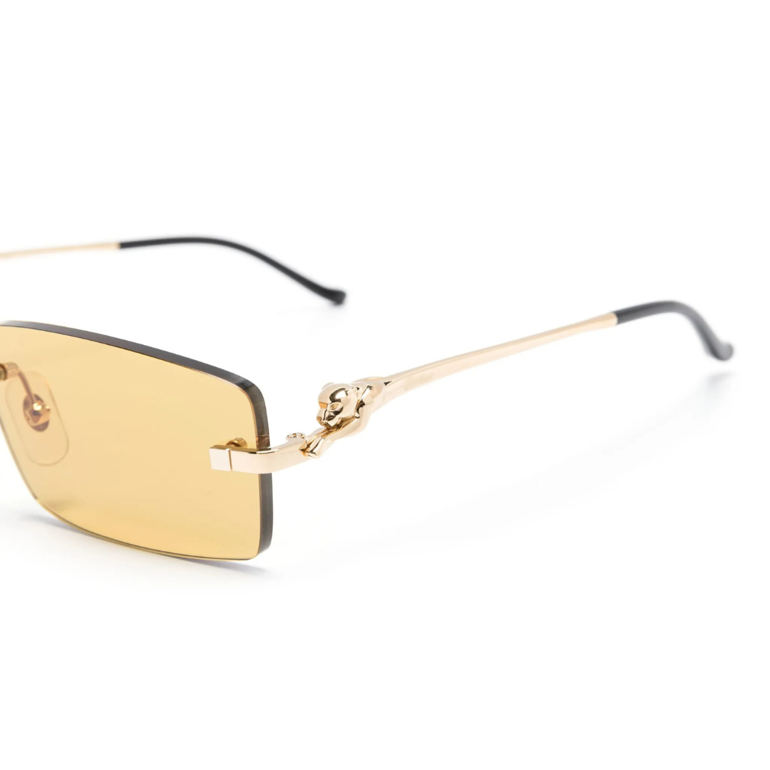 Monochromatic Sunglasses