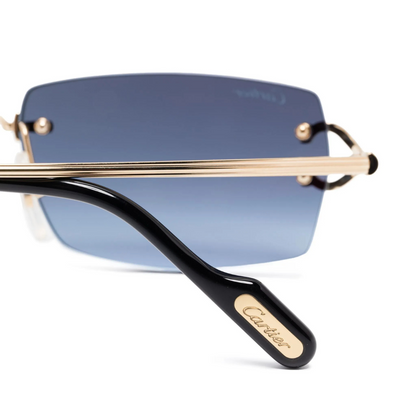 Monochromatic Sunglasses