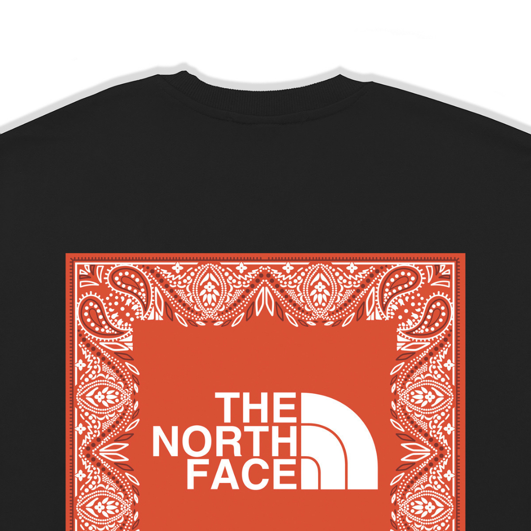 Tnf Monochromatic Hoodie