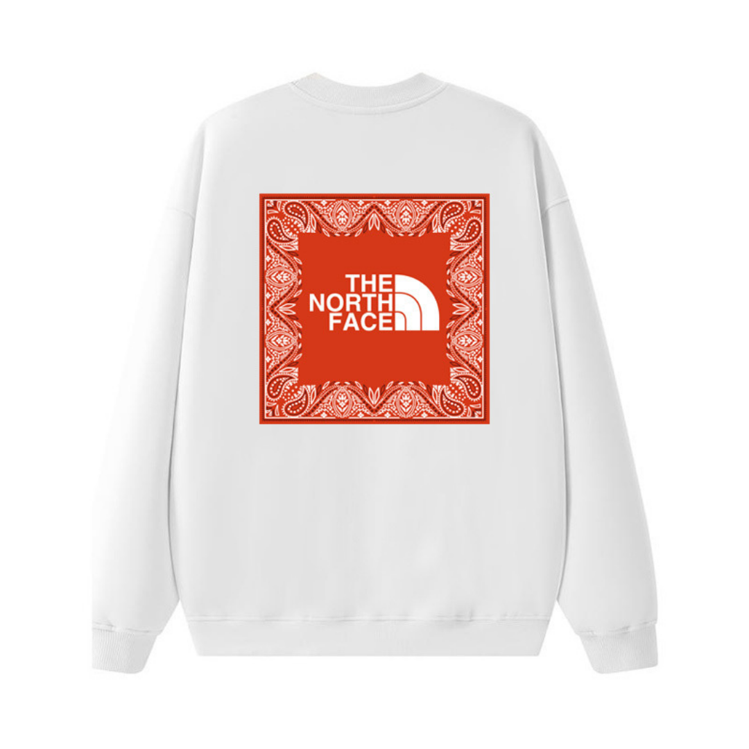 Tnf Monochromatic Hoodie