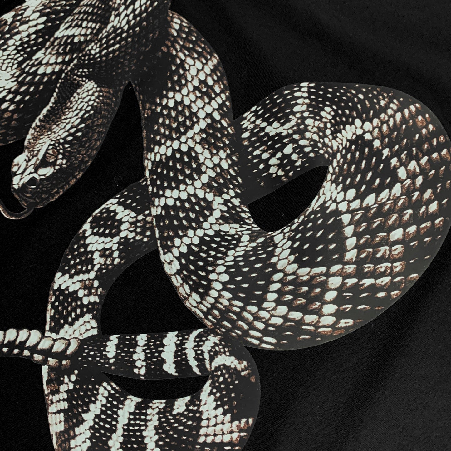 Amr Snake T-shirt