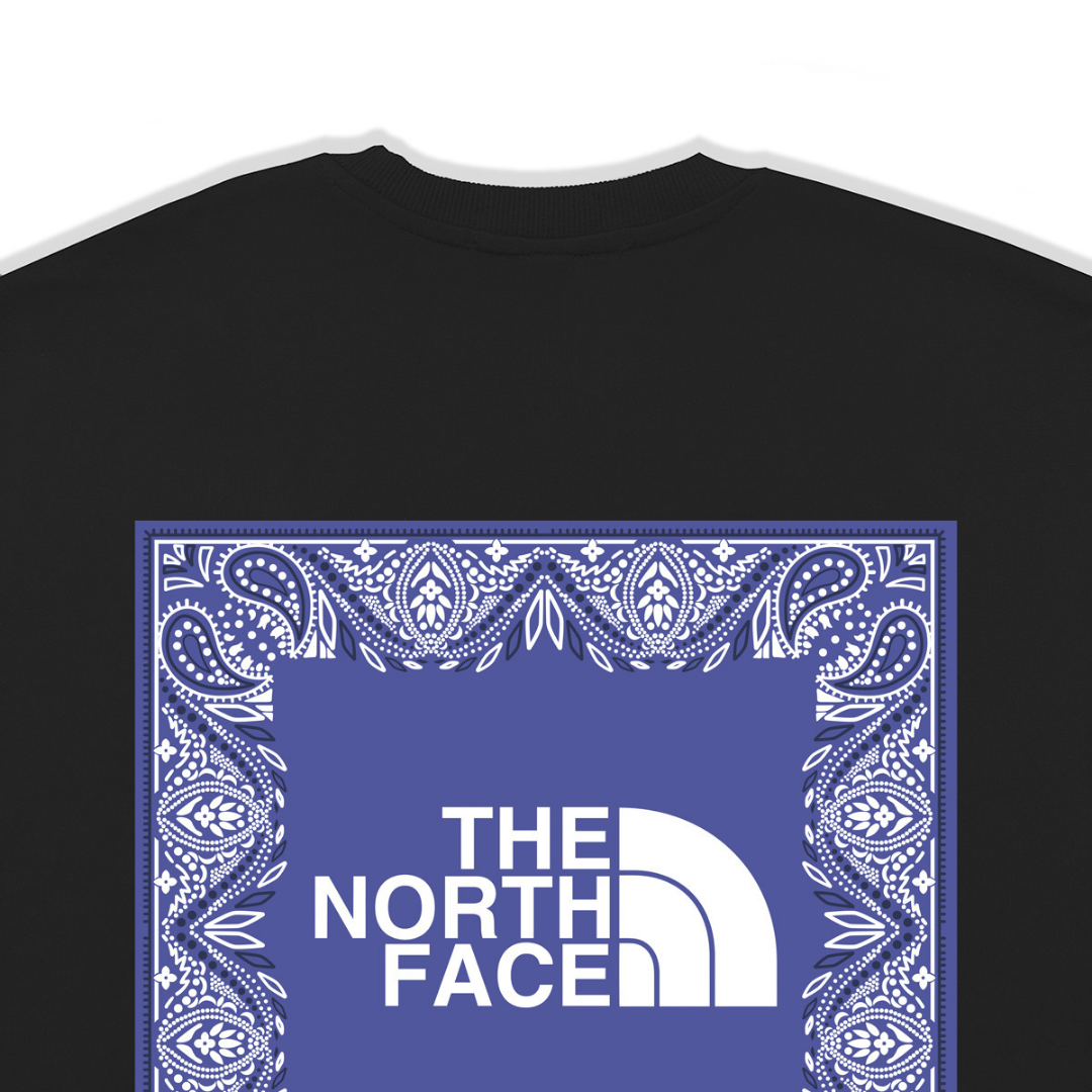 Tnf Monochromatic Hoodie