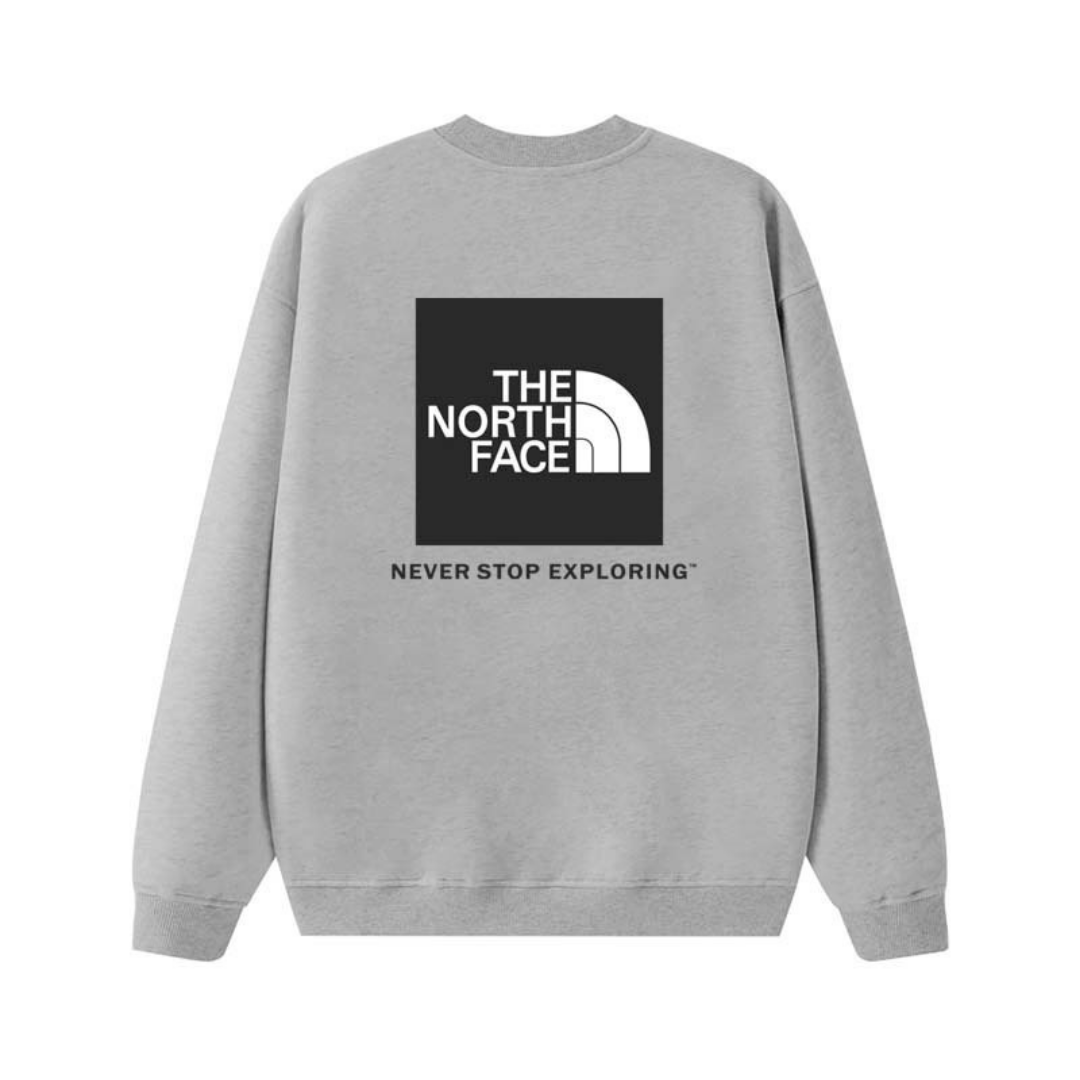 Tnf Monochromatic Hoodie