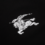 26_13961e10-522e-4077-b2d0-993efe287447