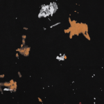 29_10484f98-a1e5-4ae5-b00f-1173bfc0f6ae