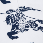 47_a957dde5-9b33-40ed-829d-2ffb45576573