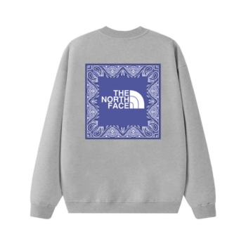 Tnf Monochromatic Hoodie